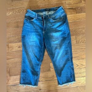 COPY - Judy Blue Capris 14w